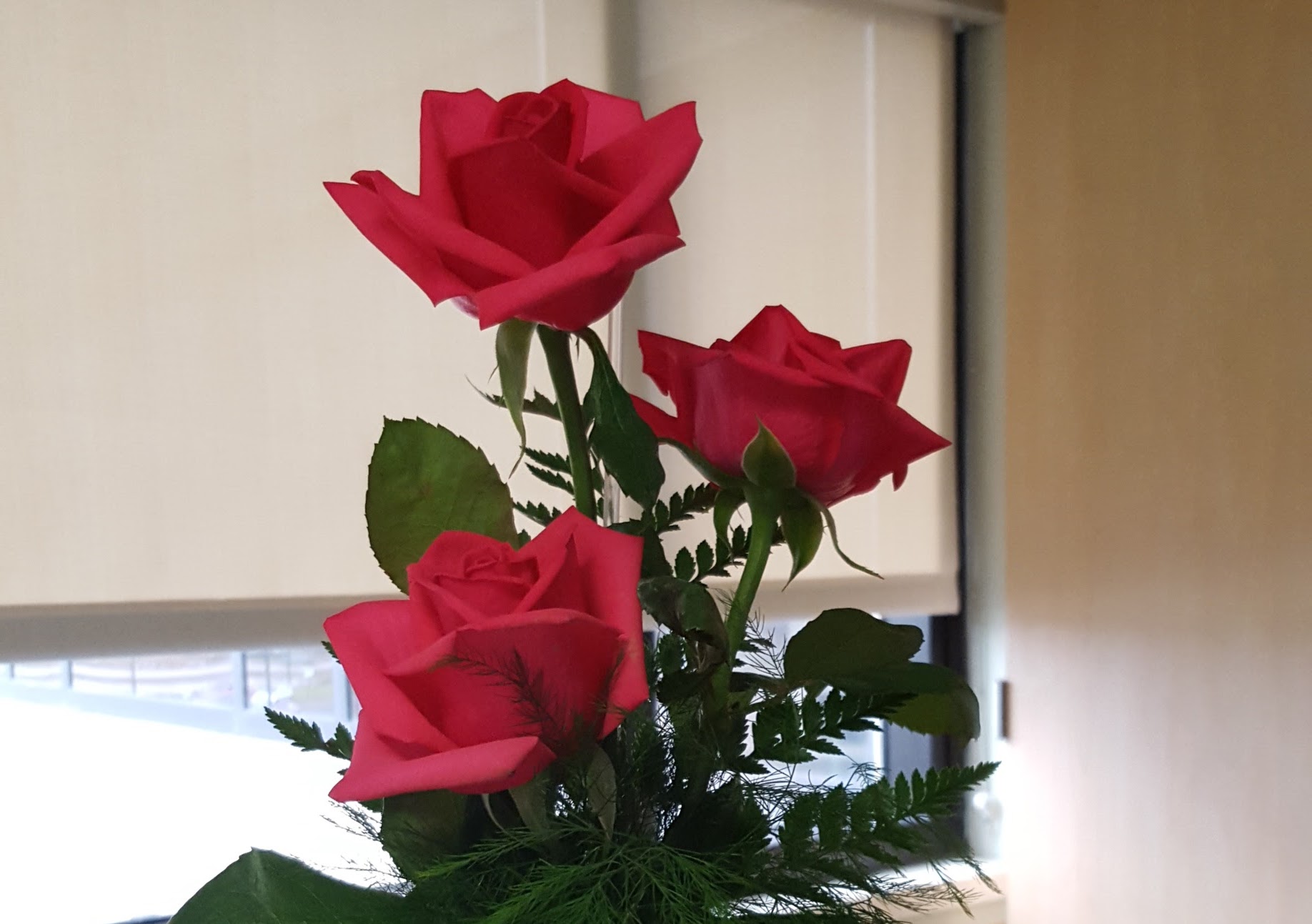 Pulmonary Embolism (Part 3)