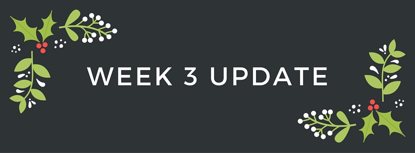 A late three week update